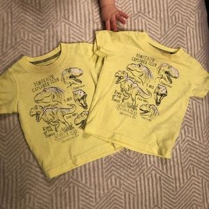 Dinosaur Tee 🦕🦖